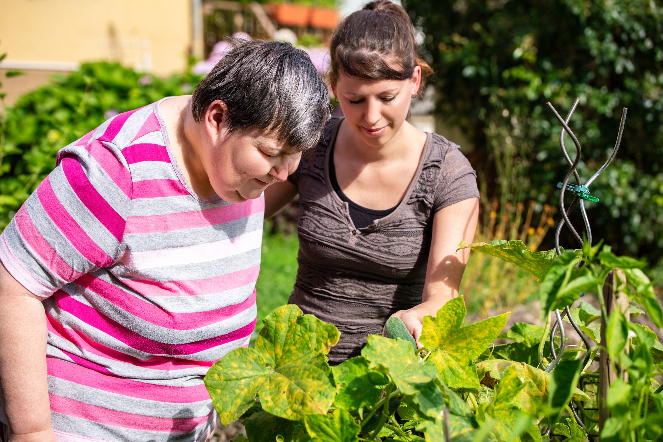 Two women tending to plants in a garden